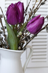 Fresh Purple Tulip Spring Still Life - 576119557