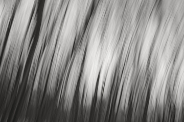 Abstract black and white motion background. - 576120332