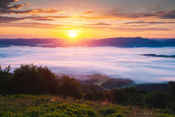 Naklejka na ściany i meble Top view of dense fog in alpine valley in rays of morning light. Carpathian mountains, Ukraine.