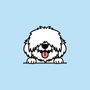 Cute coton de tulear puppy cartoon, vector illustration