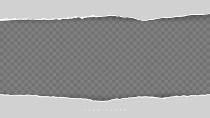 Squared ripped horizontal grey paper for text or message are on white background. Vector illustration
