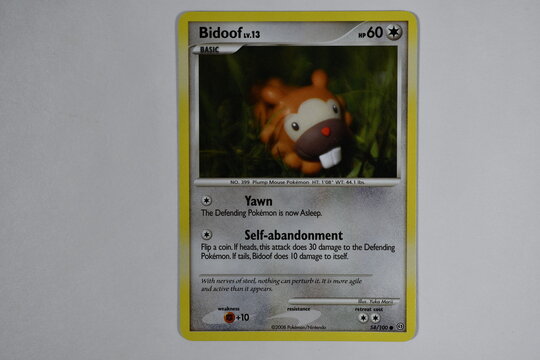 Pokemon trading card, Bidoof.