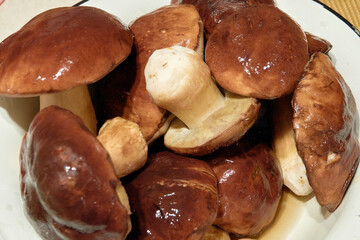 Washed porcini mushrooms in a bowl.