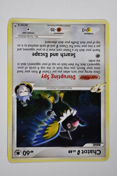 Pokemon trading card, Chatot.