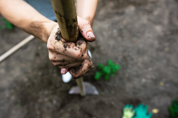 Women hands holding gardening tool