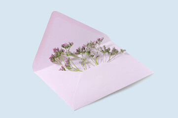 Open pink envelope with some small flowers in it as a congratulation greeting or love symbol for holidays like valentines, birthday, mothers day or fathers dayon a light blue background