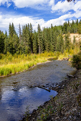 Fototapeta na wymiar Tay River Provincial Recreation Area Alberta Canada