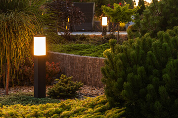 Naklejka na ściany i meble Outdoor LED Lighting For Back Yard Garden Landscape Illumination