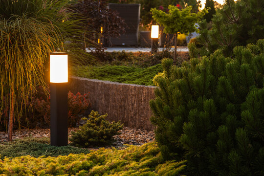 Outdoor LED Lighting For Back Yard Garden Landscape Illumination