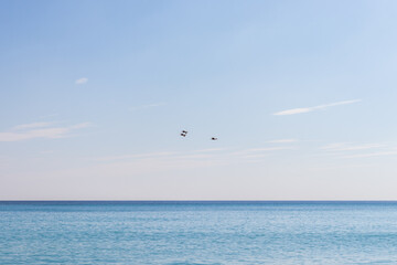 Fototapeta na wymiar photo of sea and beach with seagulls 
