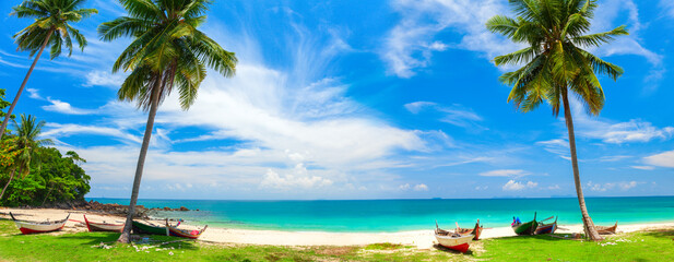 Obraz na płótnie Canvas panorama of tropical beach with coconut palm trees