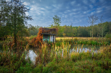 a small fairy-tale house in the swamp - obrazy, fototapety, plakaty