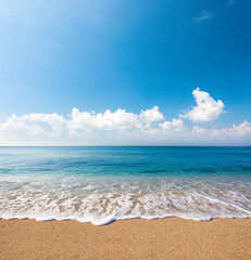  sandy beach and tropical sea