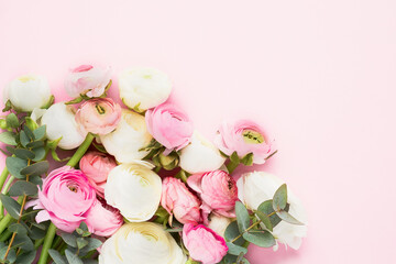Fototapeta na wymiar White and pink ranunculus flowers on pink background. Mothers Day, Valentines Day, birthday concept