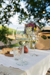 Beautiful garden. A beautiful table, a picnic in the garden.