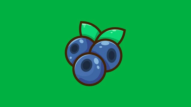 Blueberry animation on green screen. 4k video animation
