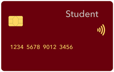 Here is a realistic mock credit card or debit card in a vector format.