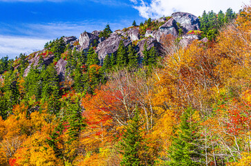 Cliff  and Fall Colors at Yonahlosseeon the Blue Ridge Parkway NC