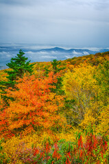 Fall Vista at Yonahlossee on the Blue Ridge Parkway NC