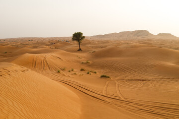 Fototapeta na wymiar Dubai desert, yellow desert dunes and the sky on a sunny day