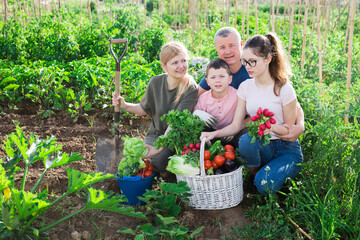 Happy family of four with basket of ripe vegetables on farm field