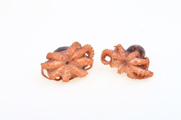 Cooked octopus on a white background