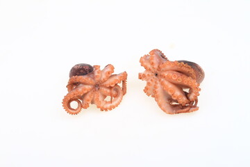 Cooked octopus on a white background