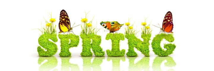 Spring and summer panorama with word spring.
