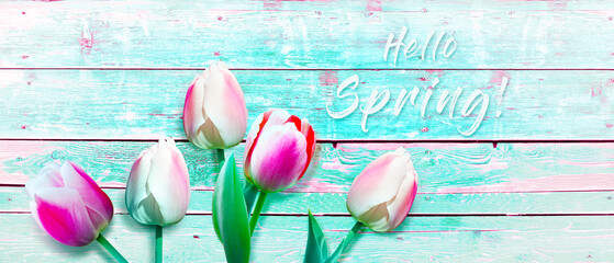 Beautiful tulips. Spring nature background for web banner and card design.