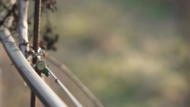 Farmer's hands cut branches with shears. Expert hands cut off vine branches for pruning. Wine production and outdoor activities. Slow motion and detail of the cut.