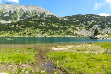 Fototapeta na wymiar Summer view of Pirin Mountain around Banderitsa River, Bulgaria