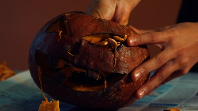 Hands preparing a Halloween pumpkin. Small hand digs inside the pumpkin and removes the seeds. Fingers carve a large orange pumpkin and remove the mush from the inside.