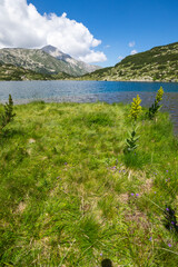 Summer view of Pirin Mountain around Banderitsa River, Bulgaria