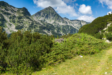 Summer view of Pirin Mountain around Banderitsa River, Bulgaria