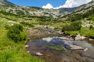 Summer view of Pirin Mountain around Banderitsa River, Bulgaria