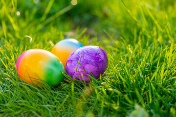 Easter Egg.multicolored painted eggs in green grass.Easter food.Spring religious holiday.Easter Egg Hunt.Collection of colored eggs. holiday tradition 