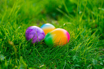Easter Egg.Easter Egg Hunt. multicolored painted eggs in green grass.Easter food.Spring religious holiday.Collection of colored eggs. holiday tradition 