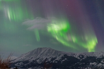 Fototapeta na wymiar Northern lights aurora seen outside of Whitehorse in Yukon Territory, Canada. 