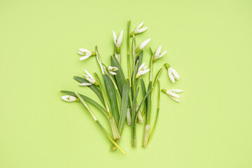 Beautiful snowdrops on green background