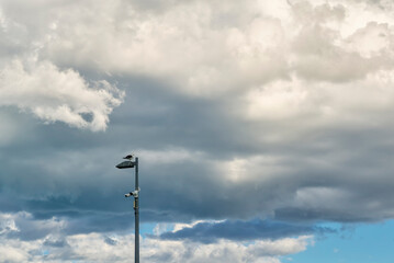 a seagull perched on a beach lamppost