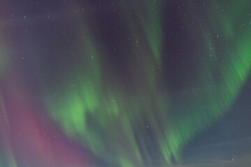 Looking directly up into the Aurora Borealis seen in Yukon Territory, Canada during winter season with green, purple and pink colors. 