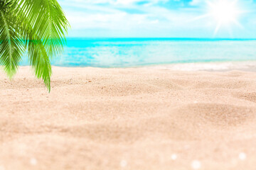 Tropical island paradise beach, green coconut palm tree leaf, sand, blue sea water turquoise ocean, sun sky white cloud, beautiful landscape, summer holidays, vacation, travel banner, empty copy space
