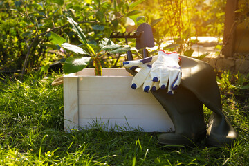White wooden crate with plant, gloves, gardening tools and rubber boots on grass outdoors
