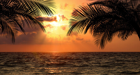 Picturesque view of sea and palm trees at sunset