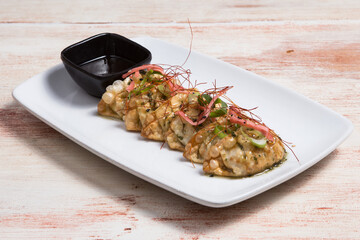 Japanese Cuisine - Meat Dumplings