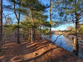 Woods in Winter - Cape Ann, Massachusetts, USA