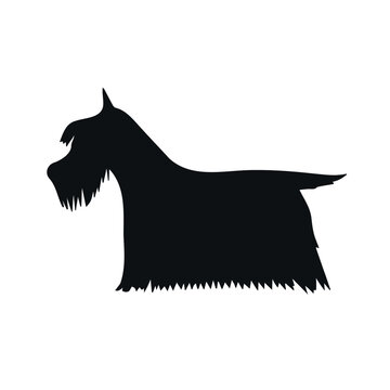 Vector hand drawn doodle sketch Scottish terrier dog silhouette isolated on white background