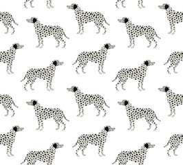 Vector seamless pattern of flat hand drawn dalmatian dog isolated on white background