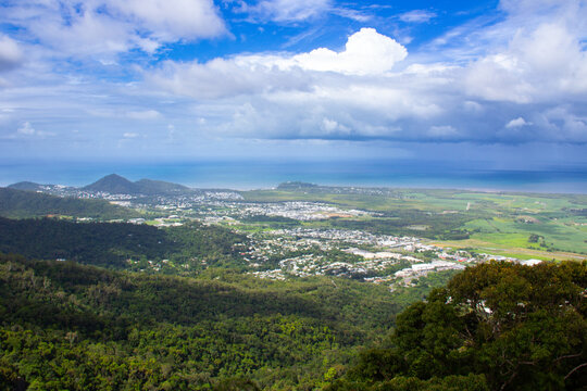 Rainforest Cairns Queensland Australia 