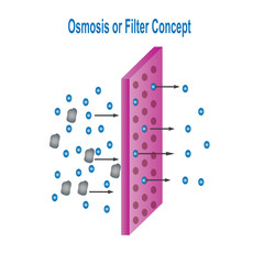Osmosis or filter concept on white background. Small particles go through the pores. Chemistry concept.